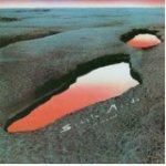 51fSCyuvUoL__SP160,160,0,T_