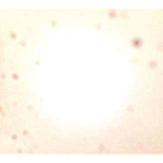 31SlOueYWcL._AA327_QL65_